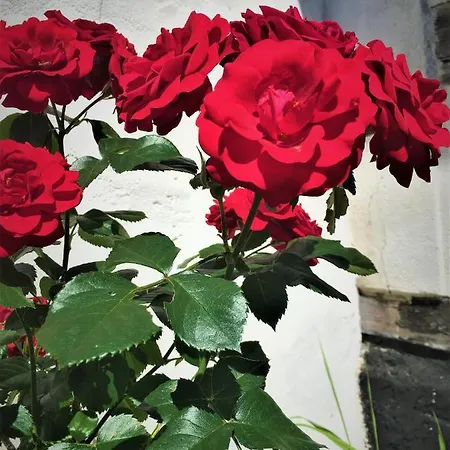 아파트 Fischerhaus Godewind 45 Qm