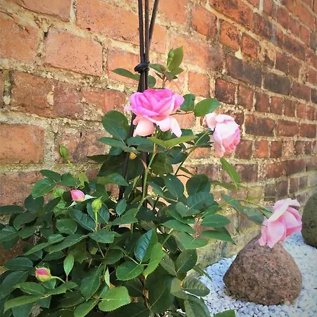 아파트 Fischerhaus Godewind 45 Qm Altwarp