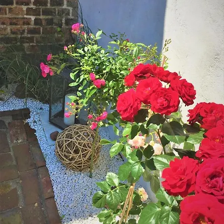 Fischerhaus Godewind 45 Qm *