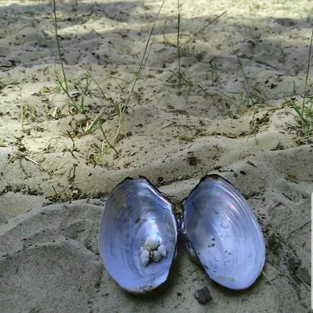 아파트 Fischerhaus Godewind 45 Qm *