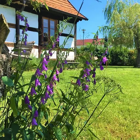 Fischerhaus Godewind 45 Qm 아파트 *