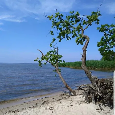 Fischerhaus Godewind 45 Qm *