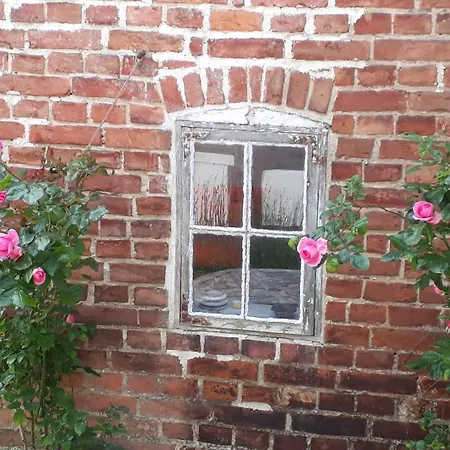 Fischerhaus Godewind 45 Qm 아파트 *