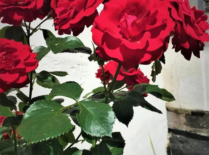 דירה Fischerhaus Godewind 45 Qm