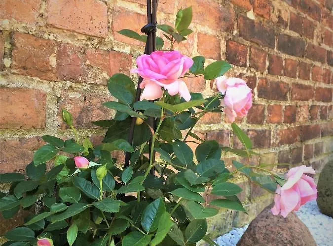 דירה Fischerhaus Godewind 45 Qm Altwarp