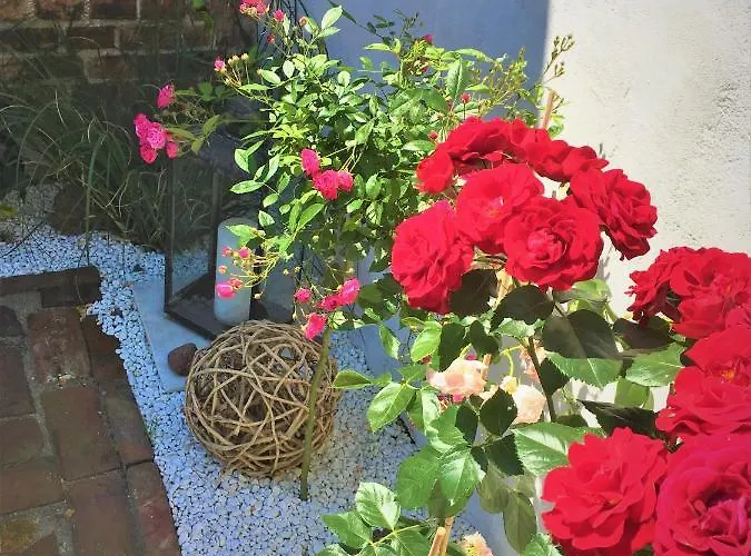 Fischerhaus Godewind 45 Qm *