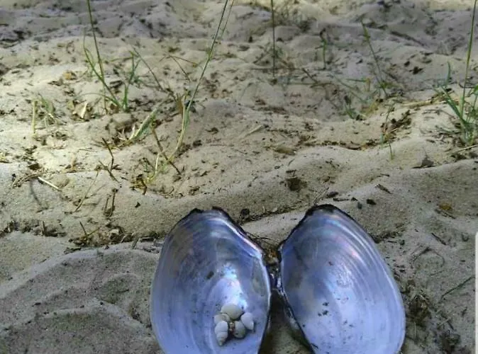 דירה Fischerhaus Godewind 45 Qm *