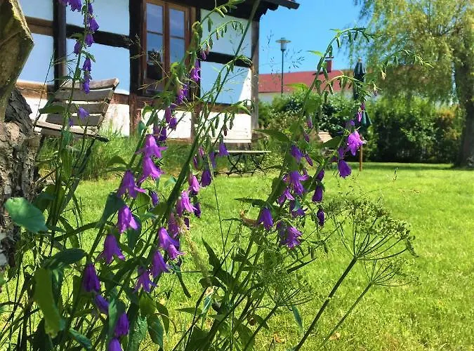 Fischerhaus Godewind 45 Qm דירה *