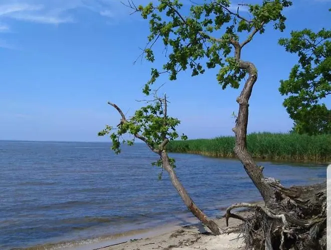 Fischerhaus Godewind 45 Qm *