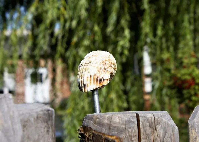 Fischerhaus Godewind 45 Qm דירה *